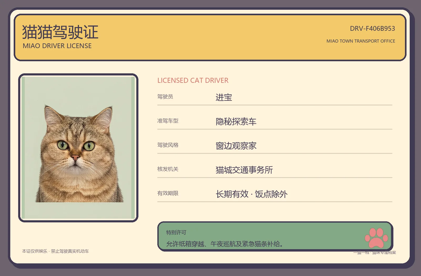 进宝生成的猫猫驾驶证