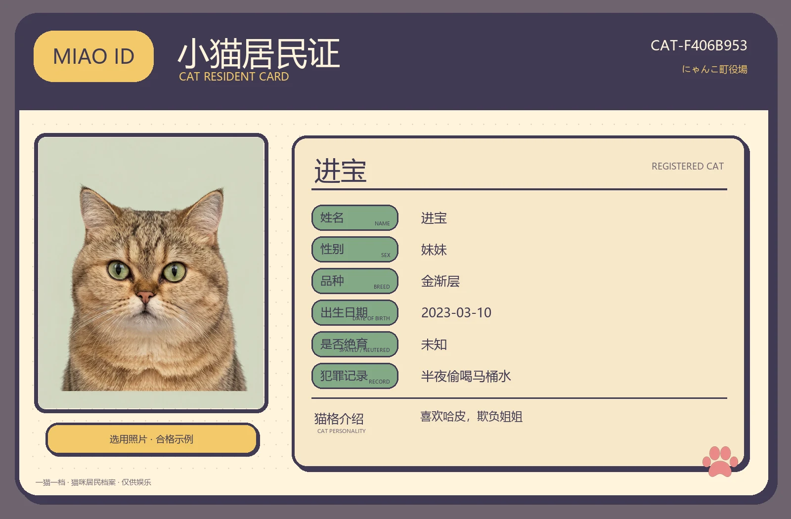进宝生成的猫咪身份证