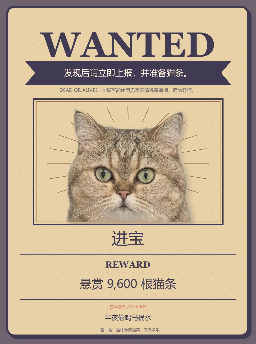 进宝生成的猫猫通缉令